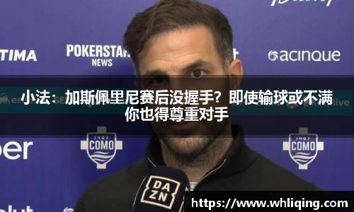 小法：加斯佩里尼赛后没握手？即使输球或不满你也得尊重对手